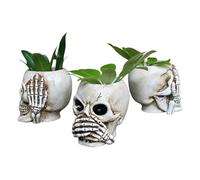 Gosgjmep Juicy Planter Pot | 3 Resin Skull Head Flower Pots, Creative Succulent Candy Container for Gothic Decor Flowerpot Funny Planter Plant Bowl Home Table Decor