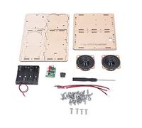 Goshyda Bluetooth Speaker Kit, Stereo Surround Sound Speaker Building Kit with Composite Wood, Educational Science Experiment for Pupils and Kids, Hands On STEM