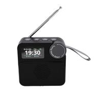 Goshyda European DAB Radio with Bluetooth, 30 Preset Stations, Support MP3 Playback Via Memory Card, for Home Travel