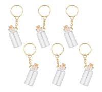 Gosknor 6pcs Mini Glass Bottles, Small Potion Bottles with Cork Lid Tiny Wishing Bottles Spell Jars Message Glass Jar with Iron Key Chains for Wedding Diy Craft Decorations Party Favors