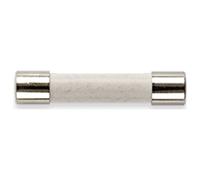 Gossen Metrawatt Z109P Fuse 0.315A/1000V 10pk For METRAHIT PRO/TEC...