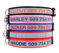 GoTags Reflective Personalised Dog Collar, Custom Embroidered Safety Collar with Pet Name and Phone Number for Boy and Girl Dogs, Small, Medium, and Large Adjustable Sizes (Pink, Small)