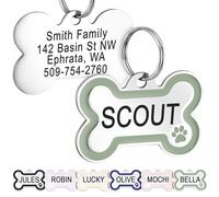 GoTags Stainless Steel Pet ID Bone Shaped Tags with Enamel Paw Design, Personalised Dog and Cat Tags, up to 5 Lines of Custom Text, Engraved on Both Sides (Sage, Small)