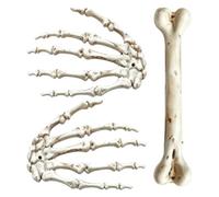 Goth Hair Clips 3 Pieces Skeleton Hands Hairpin Barrettes