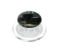 Gothic Carriage Coffin Hearse Dark Fantasy Victorian PopSockets PopGrip for MagSafe