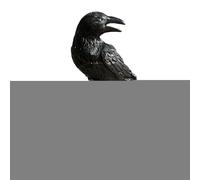Gothic Crow Sculpture - Halloween Raven Statue, Aesthetic Home Decoration, Heavy Duty Materials, Spooky Resin Craft, Elegant Halloween Accent, Seasonal Ornament for Outdoor Use, 6.69 Inches
