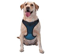 Gothic Lanterns Along The Snowy Path No Pull Dog Harness Adjustable Reflective Oxford Easy Control Medium Large Dog Harness