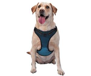 Gothic Lanterns Along The Snowy Path No Pull Dog Harness Adjustable Reflective Oxford Easy Control Medium Large Dog Harness