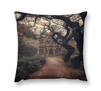 Gothic Mystery The Foggy Castle Double-Sided Pillowcase | Short Plush Ultra Soft Cozy Decorative Throw Pillow Cover | Style 26x26in(65x65cm) | for Sofa, Bedroom & Living Room