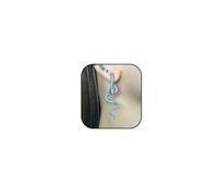 Gothic Snake Earrings for Women Vintage Snake Stud Earrings Retro Punk Goth Accessories Halloween Holiday Jewelry, Normal Size, Metal, No Gemstone