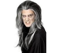 Gothic Vampire Wig Black & White Male Mens Halloween Fancy Dress Vamp Deluxe