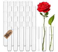GothicBride Test Tubes Glass with Brush 20 x 120 mm Pack of 30