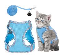 GOTRUST Cat Harness and Lead Set, Breathable Mesh Kitten Harness, Adjustable Escape-Proof Cats Vest with Leash, Reflective Pet Vest for Small Animals Rabbit Puppy - Blue