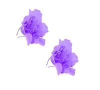 GOTTAJOY 2pcs Large Flower Fascinator Hat for Women Wedding Party Headwear with Eva Petals and Rhinestones