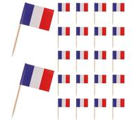 GOTTAJOY 300pcs French Flag Toothpicks Food Picks Mini Cake Toppers Small France Flags for Fruit Cupcakes Baking Cocktails Party Decorations