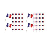 GOTTAJOY 600pcs French Flag Toothpicks Food Picks Mini Cake Toppers Small France Flags for Fruit Cupcakes Baking Cocktails Party Decorations