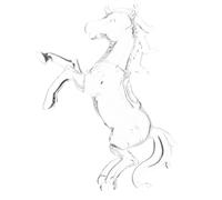 GOTTAJOY Crystal Horse Figurine Feng Shui Ornament Realistic Clear Standing Table Decor for Home Office Decoration