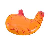 GOTTAJOY Human Stomach Anatomy Enlarged Model with Detachable Organs for Medical Education and Science Classroom Study