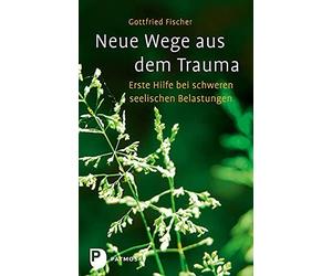 Gottfried Fisch Neue Wege aus dem Trauma: Erste Hilfe bei schweren s (Paperback)