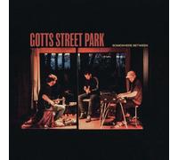 Gotts Street Park - Somewhere Between [VINYL]