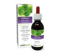 Gotu kola (Centella asiatica) herb Alcohol-Free Mother Tincture Naturalma - Liquid Extract Drops 120 ml - Food Supplement - Vegan