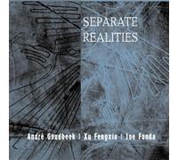 Goudbeek/Fengxia/Fonda - Separate Realities