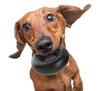 Goughnuts Virtually Indestructible Ring Durable Dog Chew Toy - Strong, Tough Rubber Chewing Toy for Small Breeds, Tougher Black Pro 50, Size Small, 10-40 Lbs (.75 Size)