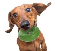 Goughnuts Virtually Indestructible Ring Durable Dog Chew Toy - Strong, Tough Rubber Chewing Toy for Small Breeds, Green, Size Small, 10-40 Lbs (.75 Size)