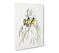 Gouldian Finch Bird By Elizabeth Gould Canvas Print | Gallery Wrapped 30mm Frame Wall Art | 30x20 inches | Ready to Hang | Retro Animals Picture | Living Room Bedroom Lounge Office