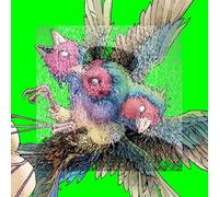 Gouldian Finch - Hatch