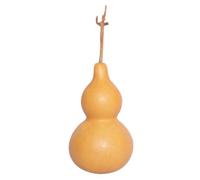 Gourd Bottle, 7.48-9.45 Inch Natural Dried Gourds for DIY Painting Crafts Home Office Desktop Decoration