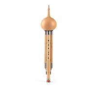 Gourd Cucurbit Flute Chinese Handmade Hulusi Ethnic Musical Instrument Key Of BB C With Case For Beginner Music Lovers (Color : C)