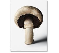 GOURMANDS MUSHROOM A COLLECTION OF STORI by THE GOURMAND TEAM Hardback Self Help