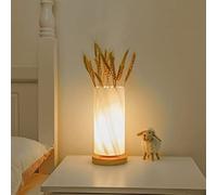 GOUTOOL Flower Table Lamp, USB Rechargeable Flower Vase Lamp, Touch Dimming Night Light, LED Frosted Glass Shade Bedside Lamp for Bedroom Living Room Home Decor (Cylinder)