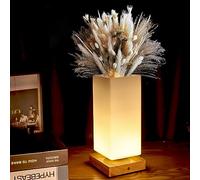 GOUTOOL Vase Table Lamp, DIY Vase Lamp USB Charging Port Dimmable Flower Lamp, LED Frosted Glass Shade Bedside Lamp Night Light with Wood Base (Rectangle) (GO-HPD)