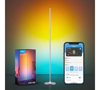 Govee LED Floor Lamp RGBIC, Modern Corner Lamp Silver, with 61 Scene Modes and 8 Music Sync Modes, Work with Matter and Alexa, Dimmable Mood Lighting Ideal for Living Room, Bedroom
