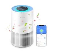 GoveeLife - Smart Air Purifiers for Bedroom, HEPA Portable Filter with Alexa WiFi Control for Pets Pollen Hair Smells, 24dB Quiet Air Purifier with 3