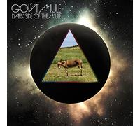 Gov't Mule - Dark Side Of The Mule