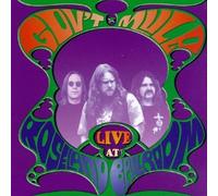 Gov't Mule - Live at Roseland Ballroom