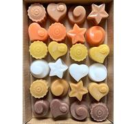 Gower Coast Crafts Handmade Premium Quality Highly Scented Wax Melts. 24 x 5g Melts in each pack (Woody & Spicy)