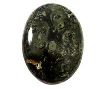 Goyal Exports 39.75ct Natural Star Galaxy Kambaba Jasper Untreated Cabochon Oval Gemstone Loose Gemstone Star Galaxy Kambaba Jasper Loose Gemstone Star Galaxy Kambaba Jasper