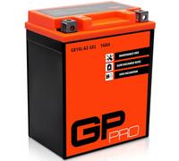 GP-PRO GB14L-A2 12V 14Ah GEL Starter Battery (compatible with YB14L-A2 / 51411) (Maintenance-free/Sealed) Motorcycle Accumulator