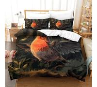 GPARSDDIO Robin Bird Duvet Cover 3 PCS Hotel Quality Quilt Cover Bedding Bed Covers with Pillowcases with Zipper Closure Ultra Soft Hypoallergenic Microfiber Single（140x200cm）