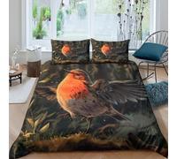 GPARSDDIO Robin Bird Duvet Cover Sets 3 PCS Hotel Quality Quilt Cover Bedding Sets Bed Covers with Pillowcases with Zipper Closure Breathable Stylish Comforter Double（200x200cm）