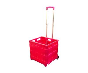 GPC Folding Box Truck Pink - 35kg
