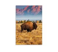 GPCLJW American Bison Art Waterproof Modern Mural Water Office Poster Suitable for Living Room Bedroom Home Office Living Room 20x30inch(50x75cm) Unframe-style