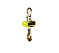GPDNBIEU, 11000lbs Heavy Duty Industrial Hanging Scale with Hook for Industrial Plants Workshops Agricultural Markets Etc(2T)