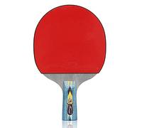 GPDNBIEU, 4 Star Table Tennis Bat,Professional Ping Pong Racket,Beginner Table Tennis Paddle with ITTF Approved Rubber,Comfortable Handle(Long handle)
