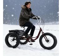 GplHAIN 20 Inch Fat Tire All-Terrain 3 Wheel Bikes, Snow Adult Tricycles, Adjustable Handlebars/Seats, Cruiser Bicycles 7 Speed, 450lb Capacity, For Seniors, Adults Red