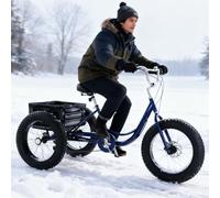 GplHAIN 20 Inch Fat Tire All-Terrain 3 Wheel Bikes, Snow Adult Tricycles, Adjustable Handlebars/Seats, Cruiser Bicycles 7 Speed, 450lb Capacity, For Seniors, Adults Blue